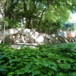 P1180722-sito